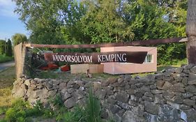 Vándorsólyom kemping